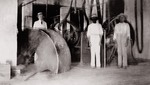 Machine voor sisal op onderneming Mount Pleasant te Curaçao