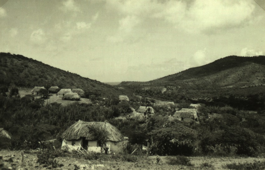 Koenoekoewoningen op Curaçao
