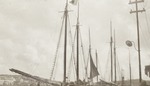 Schepen in de haven van Willemstad