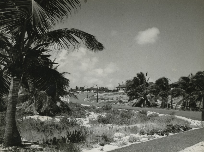 Weg op Aruba