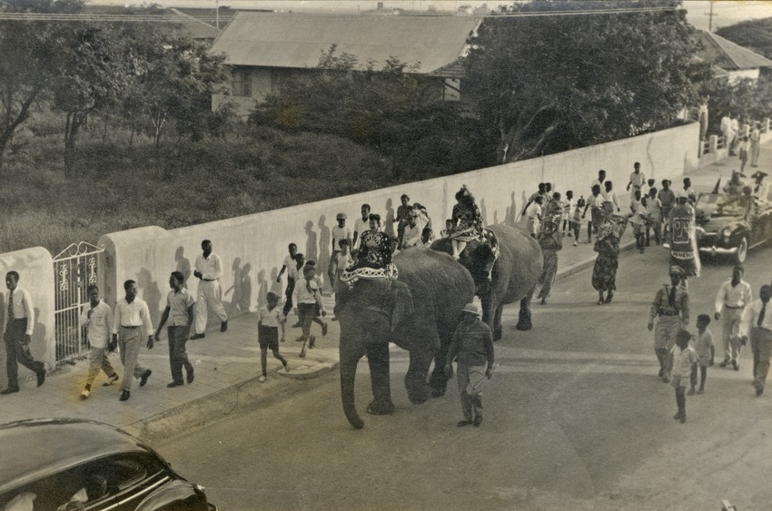 Olifanten tijdens een optocht ter gelegenheid van het bezoek van koningin Juliana en prins Bernhard aan Curaçao van 18 - 21 oktober 1955 in Willemstad