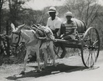 Man en een jongen met een watertank in een kar getrokken door een ezel op de Nederlandse Antillen