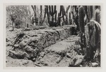Uitgegraven gedeelte van het terras van de voormalige plantage Frederikslust op Curaçao