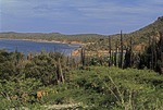 Baai te Bonaire