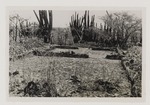 Uitgegraven gedeelte van een woning van de voormalige plantage Frederikslust op Curaçao