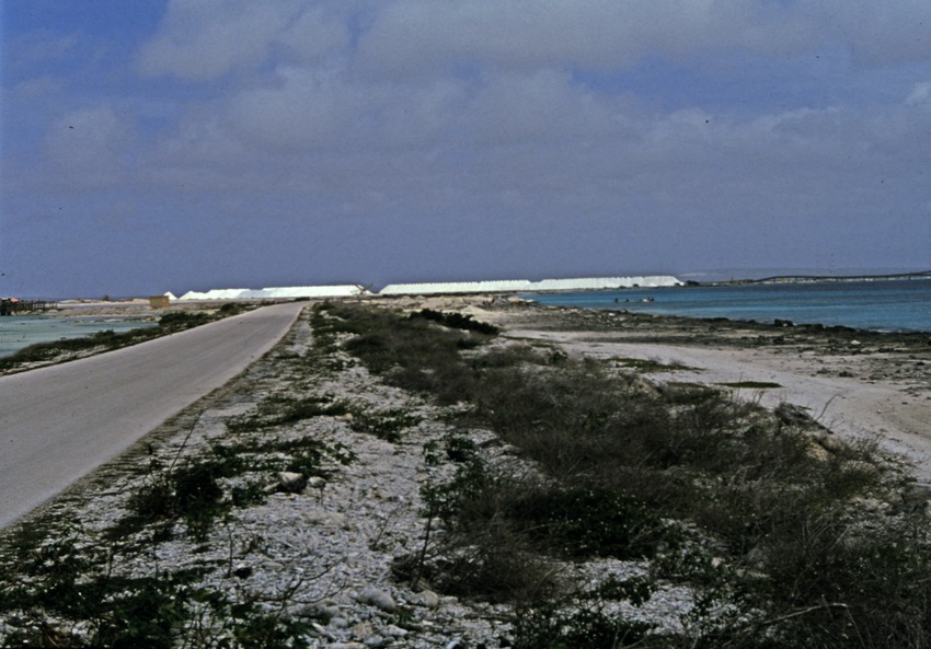 Zoutindustrie te Bonaire