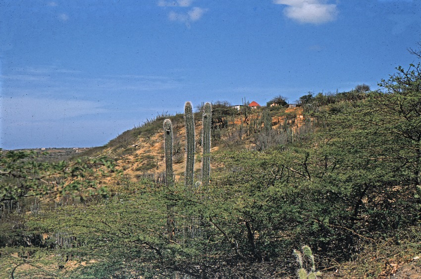 Landschap op Curaçao