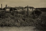 Kunuku huizen op het platteland van Curaçao