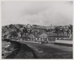 Huizen van employés van de Curaçaosche Petroleum Industrie Maatschappij (C.P.I.M.) aan de Caracasbaai