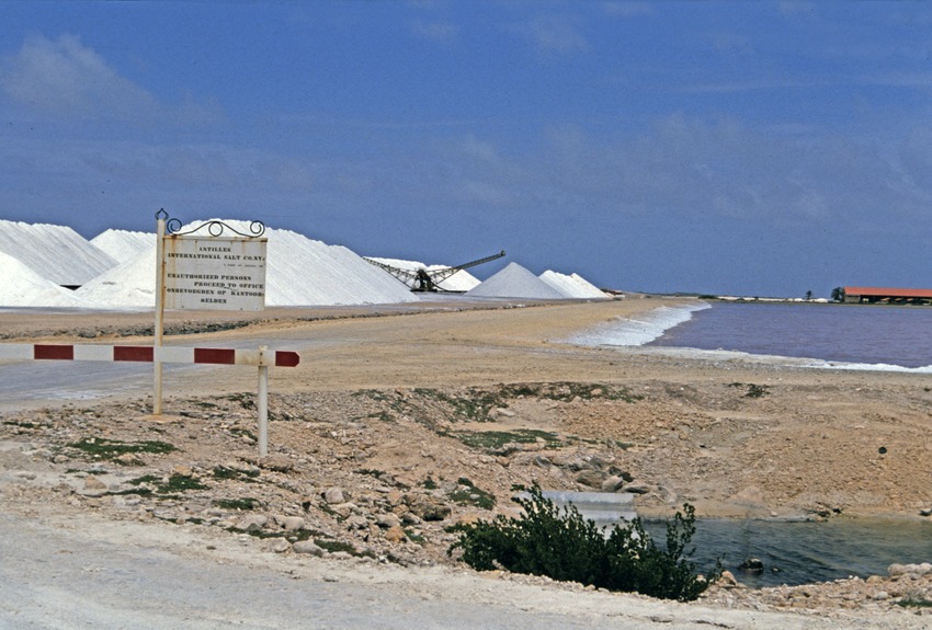 Zoutindustrie te Bonaire