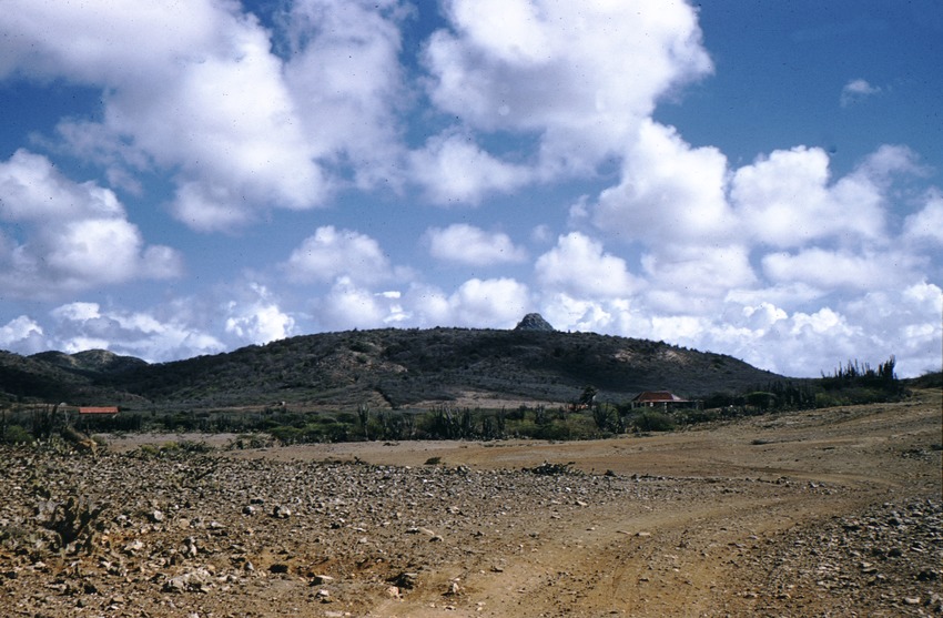 Landschap met weg op Curaçao