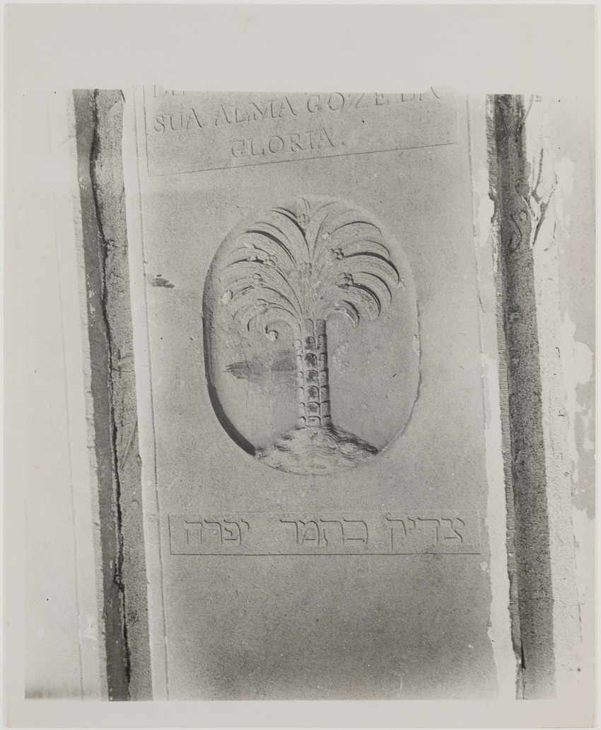 Het oude joodse kerkhof Beth Haim (Hahaim) te Bleinheim in Willemstad, ingewijd in 1656