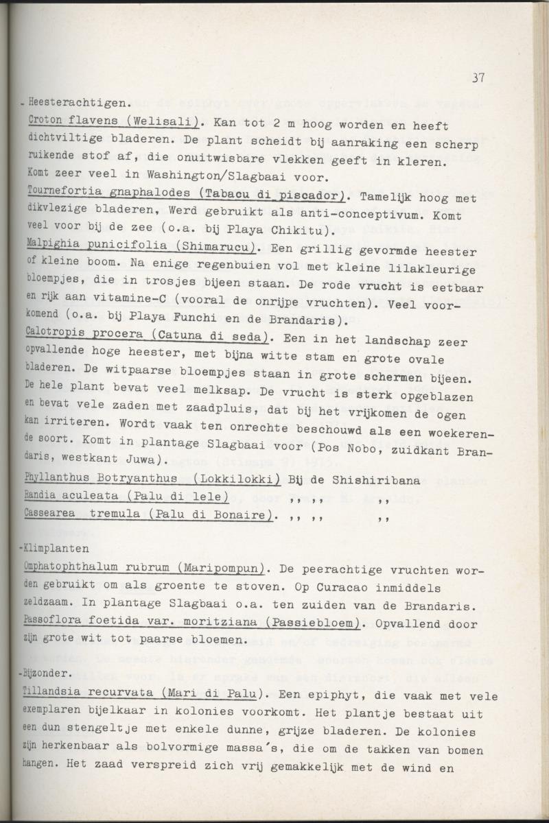 Inrichtingsplan voor het nationaal park Washington/Slagbaai - New Page