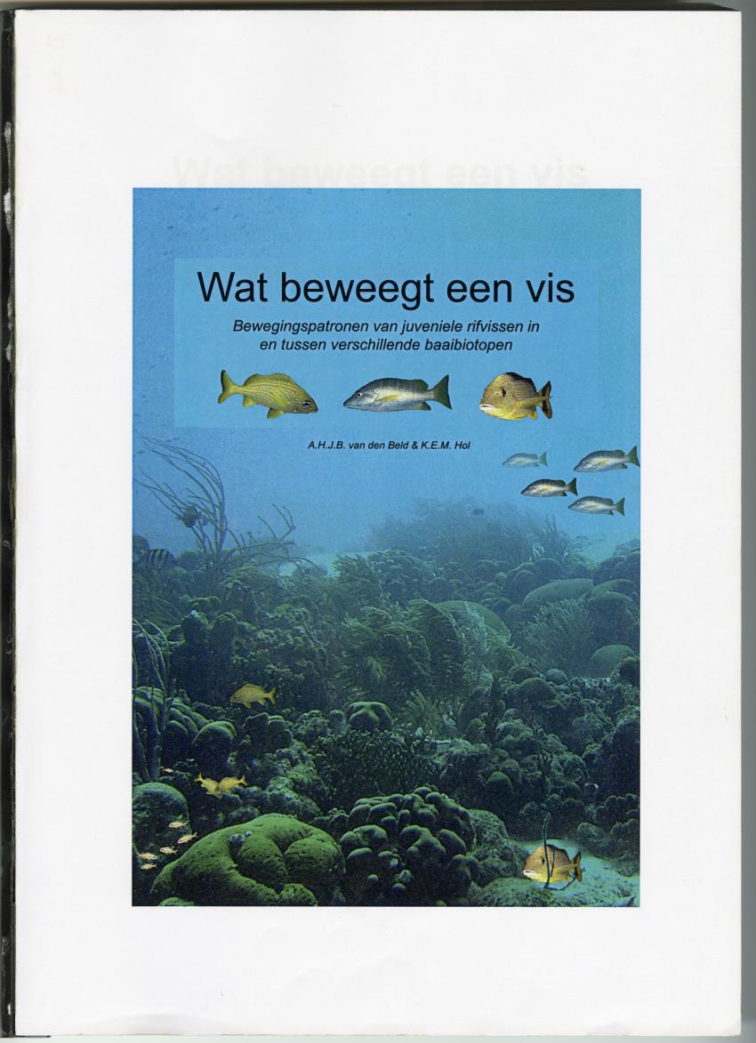 Wat beweegt een vis - Bewegingspatronen van juveniele rifvissen in en tussen verschillende baaibiotopen - New Page