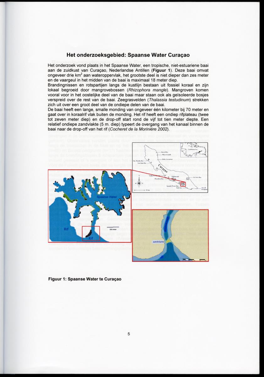 Wat beweegt een vis - Bewegingspatronen van juveniele rifvissen in en tussen verschillende baaibiotopen - New Page