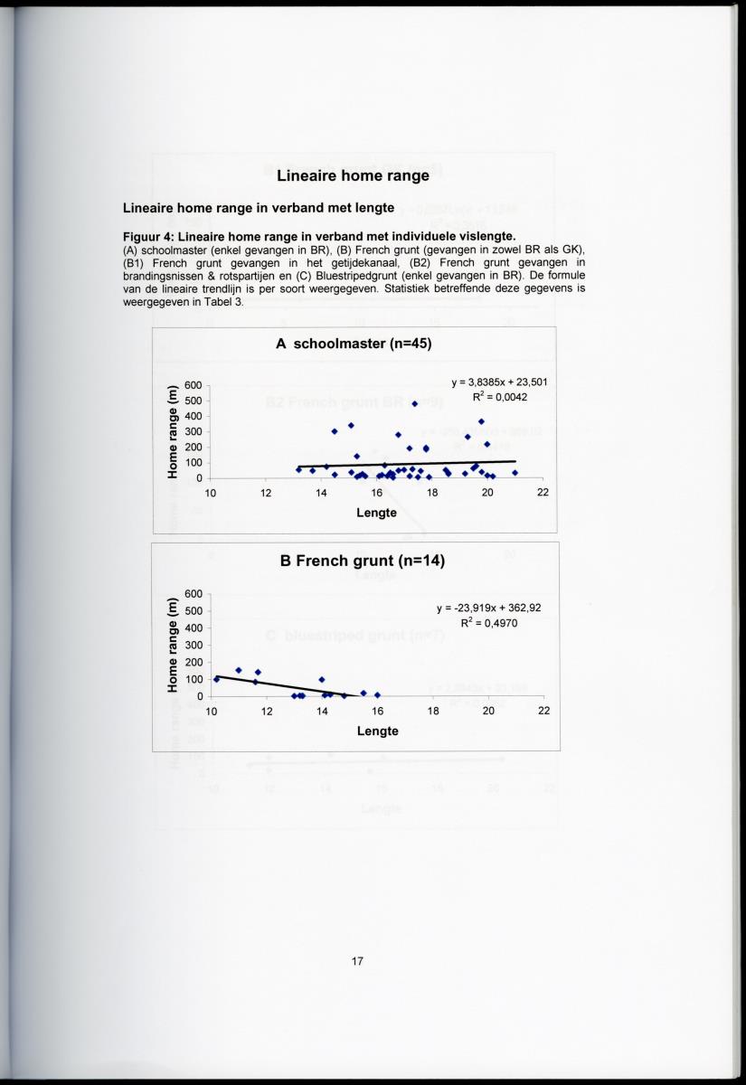 Wat beweegt een vis - Bewegingspatronen van juveniele rifvissen in en tussen verschillende baaibiotopen - New Page