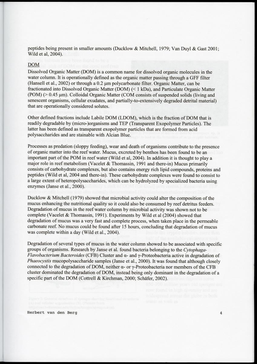 Examination of the removal of popysaccharides by encrusting sponges with an analysis of associated bacterial communities in the cryptic habitats on the coral reef - New Page