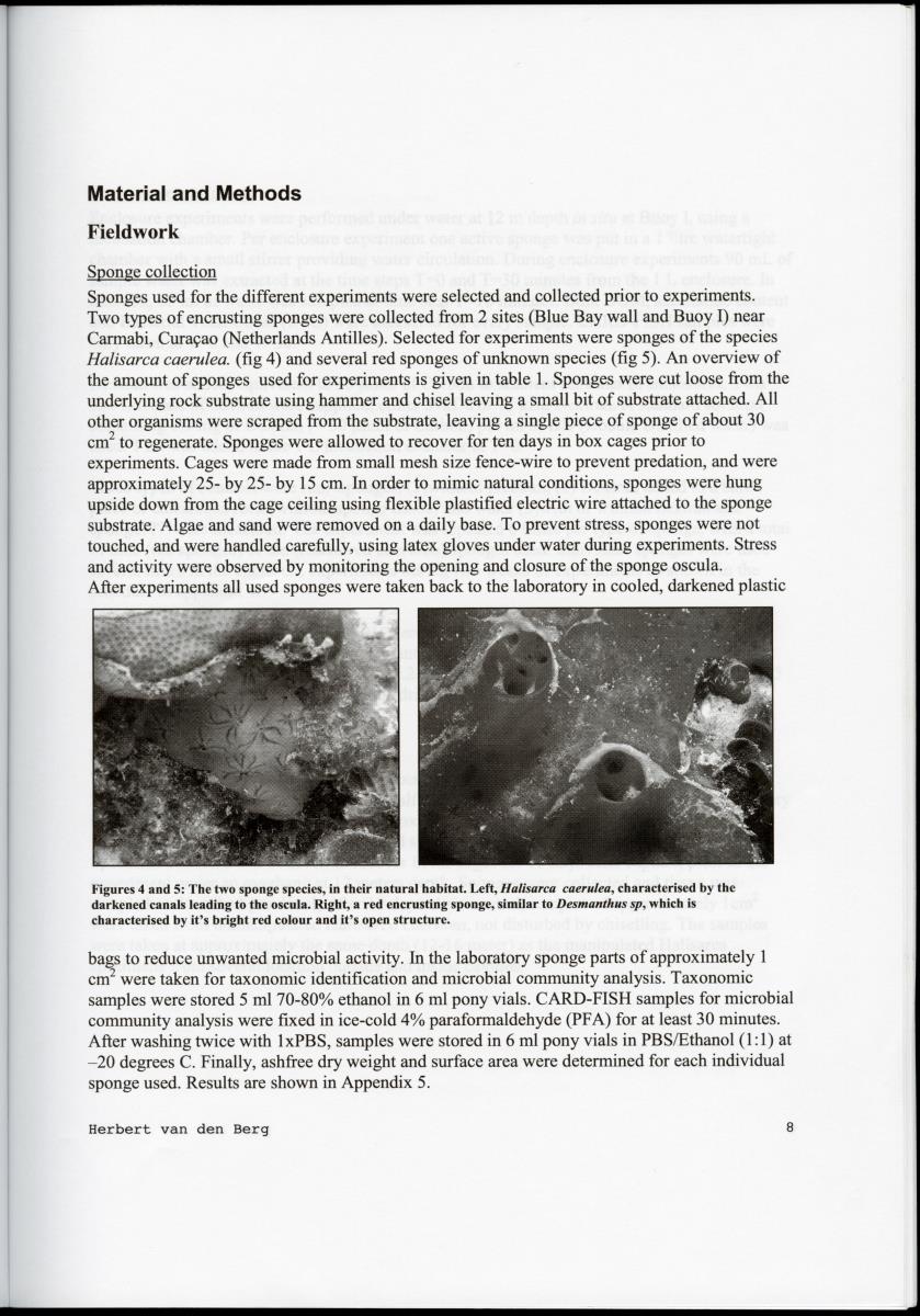 Examination of the removal of popysaccharides by encrusting sponges with an analysis of associated bacterial communities in the cryptic habitats on the coral reef - New Page