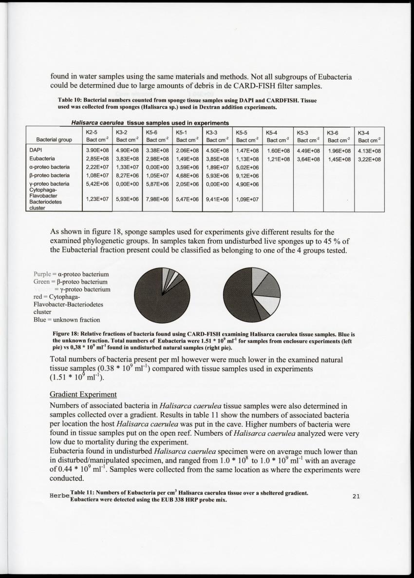 Examination of the removal of popysaccharides by encrusting sponges with an analysis of associated bacterial communities in the cryptic habitats on the coral reef - New Page