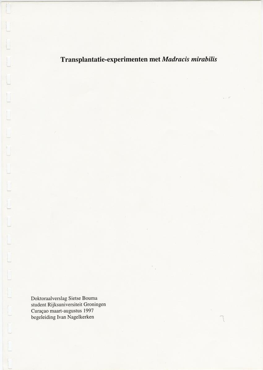 Transplantatie-experimenten met Madracis mirabilis - New Page