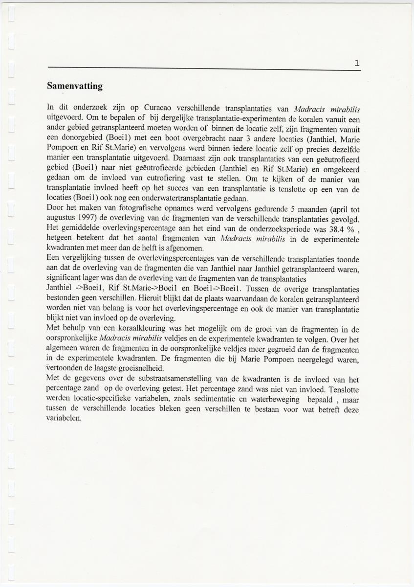 Transplantatie-experimenten met Madracis mirabilis - New Page