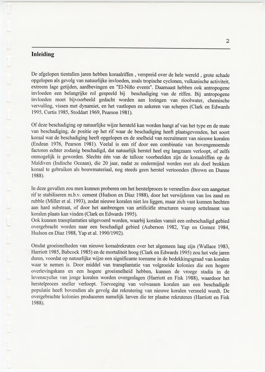 Transplantatie-experimenten met Madracis mirabilis - New Page