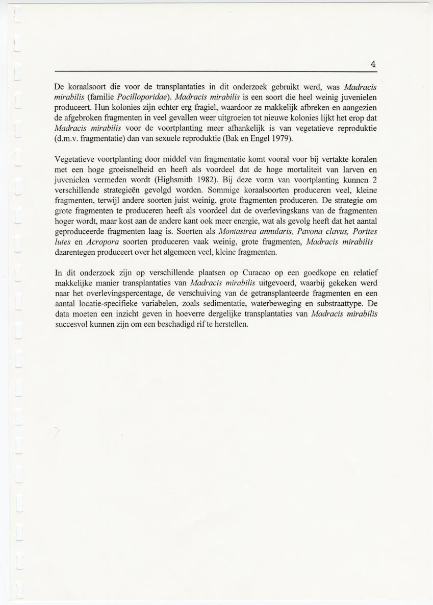 Transplantatie-experimenten met Madracis mirabilis - New Page