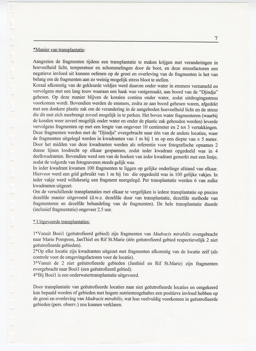 Transplantatie-experimenten met Madracis mirabilis - New Page