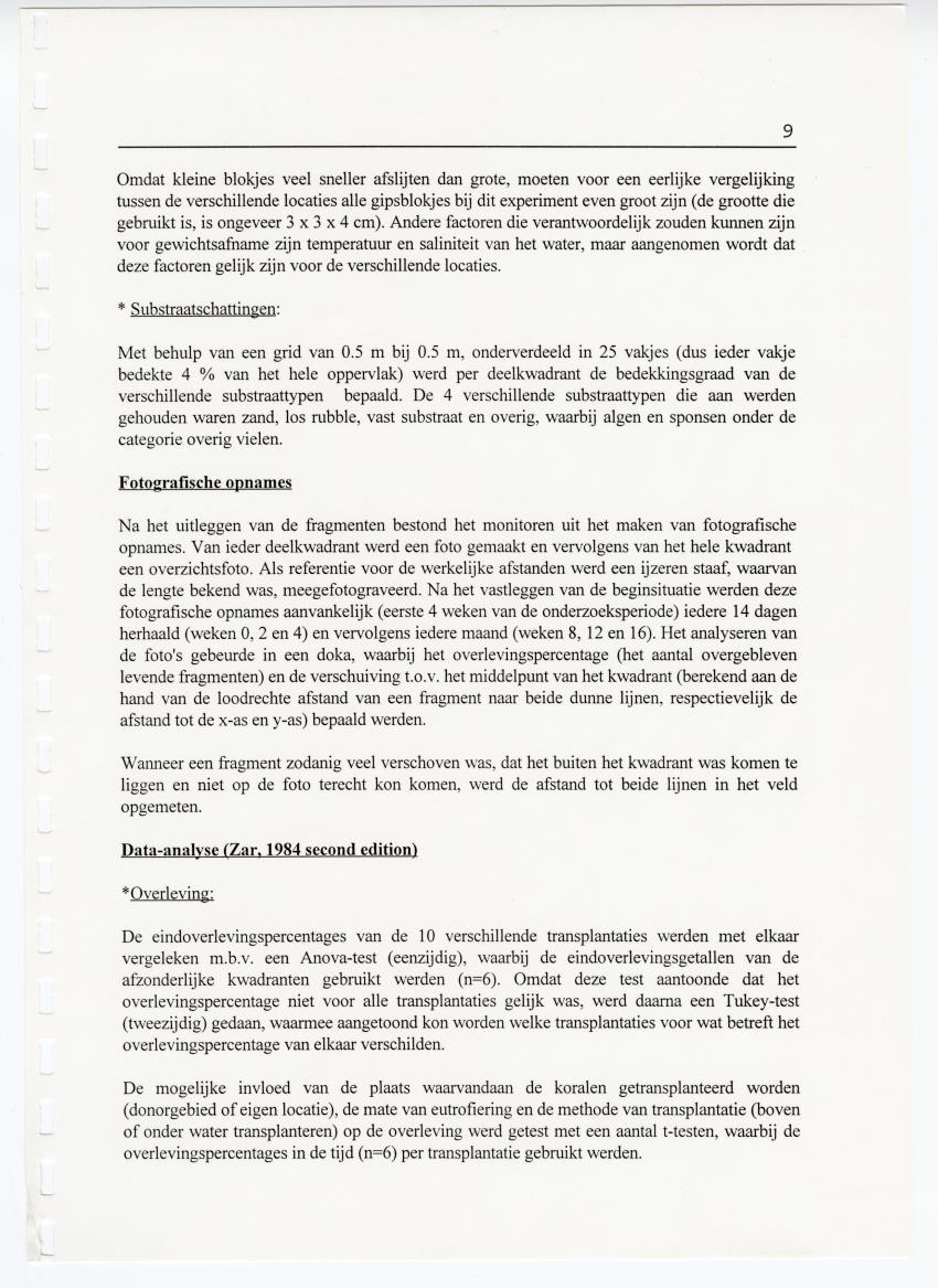 Transplantatie-experimenten met Madracis mirabilis - New Page