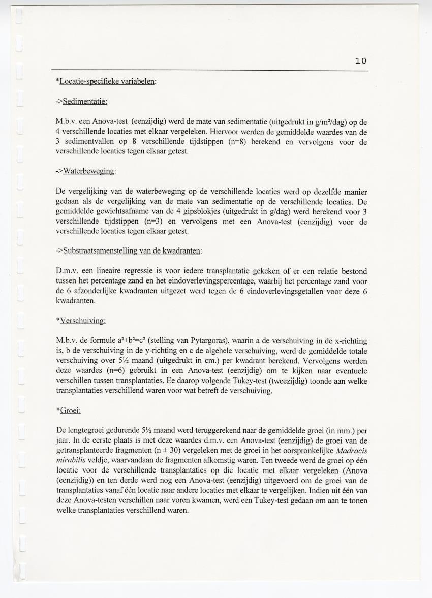 Transplantatie-experimenten met Madracis mirabilis - New Page