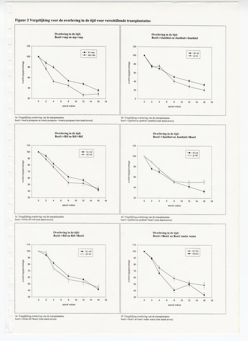 Transplantatie-experimenten met Madracis mirabilis - New Page