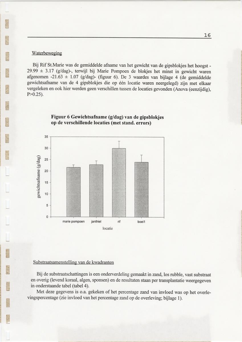 Transplantatie-experimenten met Madracis mirabilis - New Page