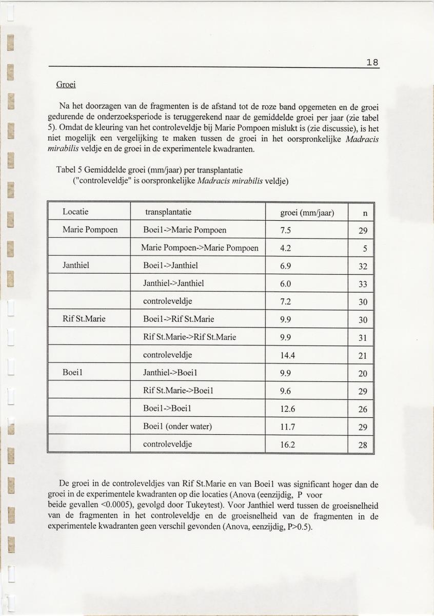 Transplantatie-experimenten met Madracis mirabilis - New Page