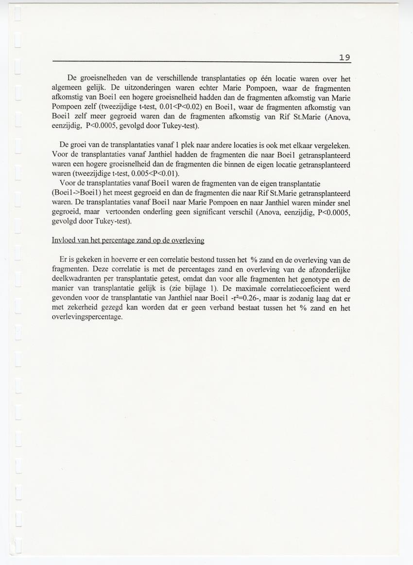 Transplantatie-experimenten met Madracis mirabilis - New Page