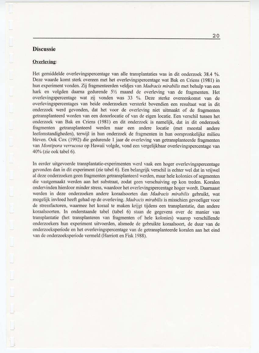 Transplantatie-experimenten met Madracis mirabilis - New Page