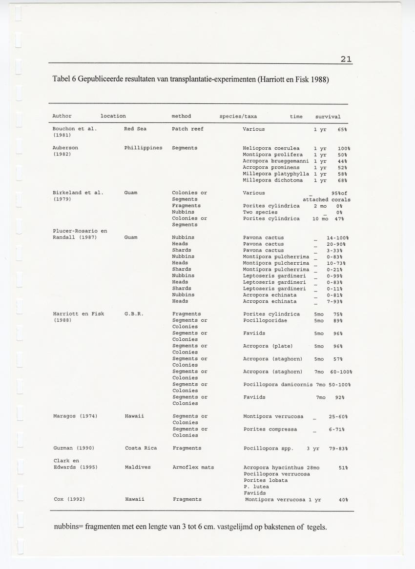 Transplantatie-experimenten met Madracis mirabilis - New Page