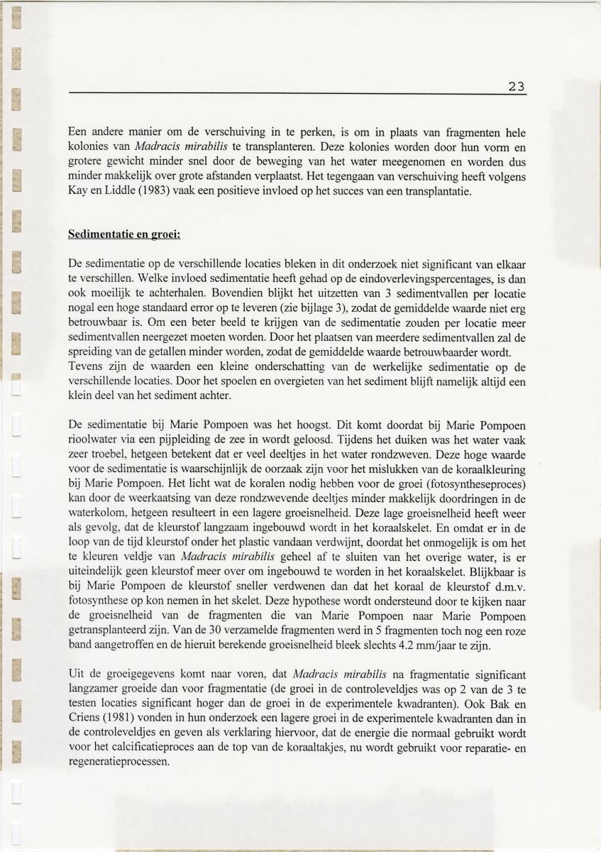 Transplantatie-experimenten met Madracis mirabilis - New Page