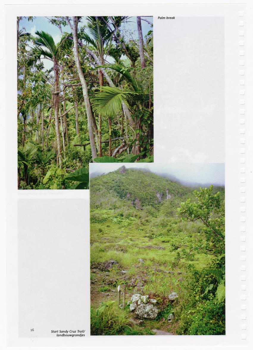 Beheersplan Muriel Thissel National Park Saba - 2000 t/m 2004 - New Page