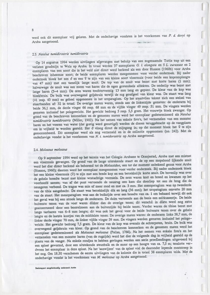 Basisrapport zoogdierkundig onderzoek Aruba - New Page