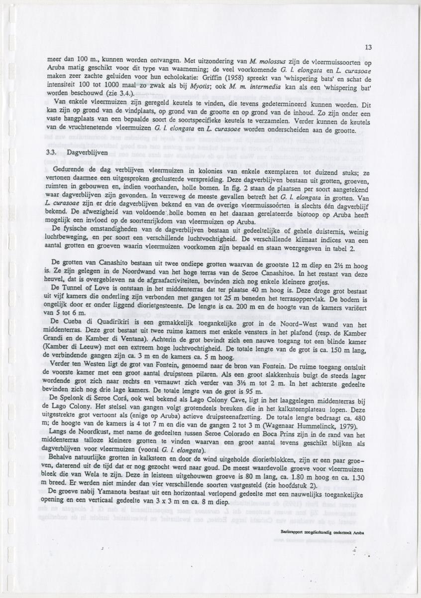 Basisrapport zoogdierkundig onderzoek Aruba - New Page