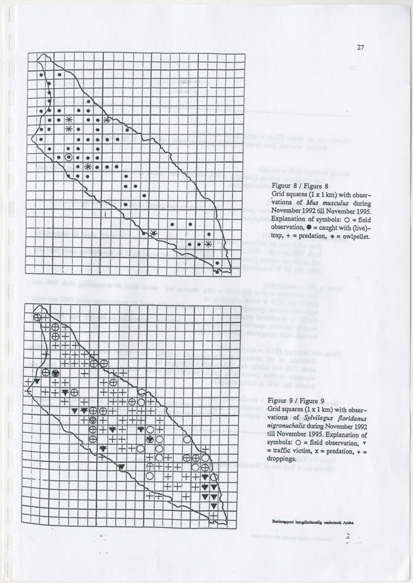 Basisrapport zoogdierkundig onderzoek Aruba - New Page