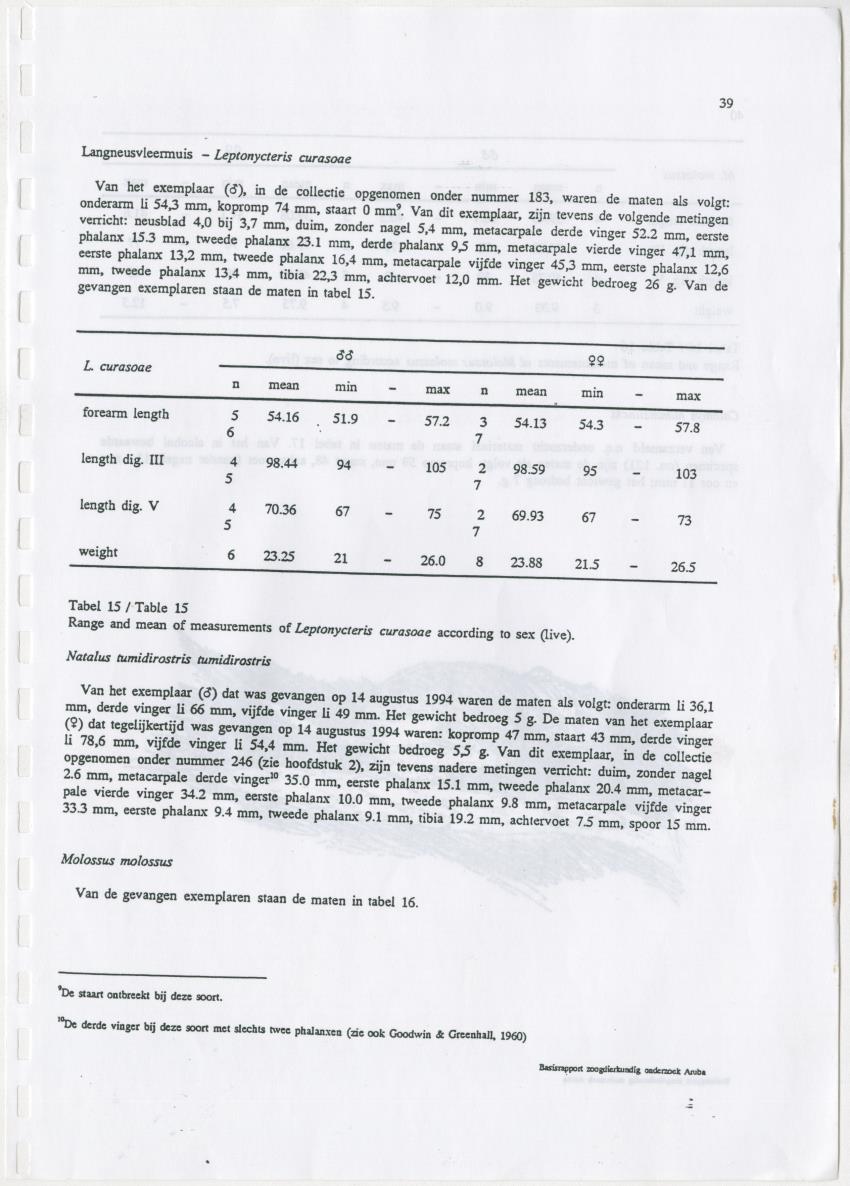 Basisrapport zoogdierkundig onderzoek Aruba - New Page