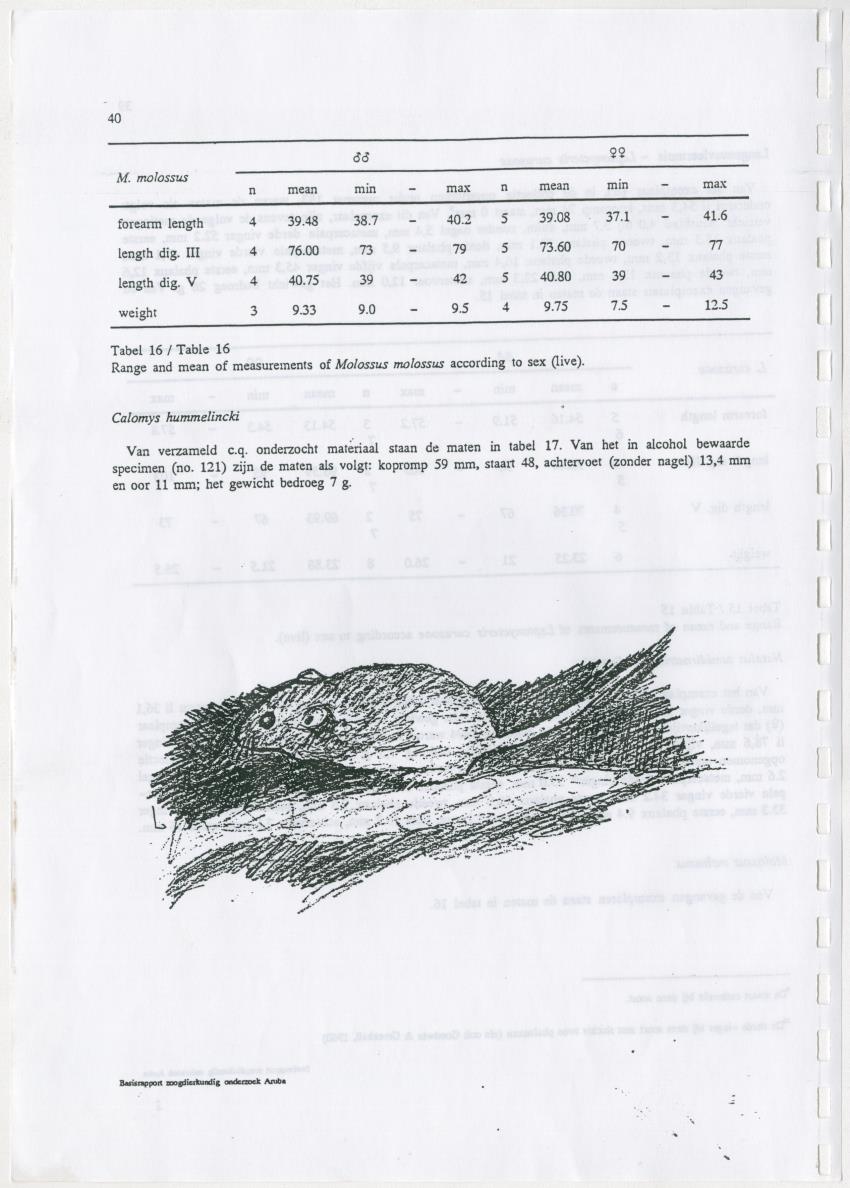 Basisrapport zoogdierkundig onderzoek Aruba - New Page
