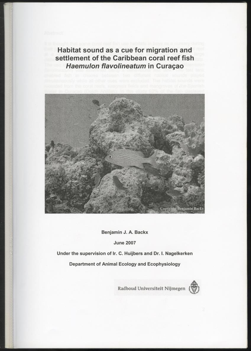 Habitat sound as a cue for migration and settlement of the Caribbean coral reef fish Haemulon flavolineatum in Curacao - New Page