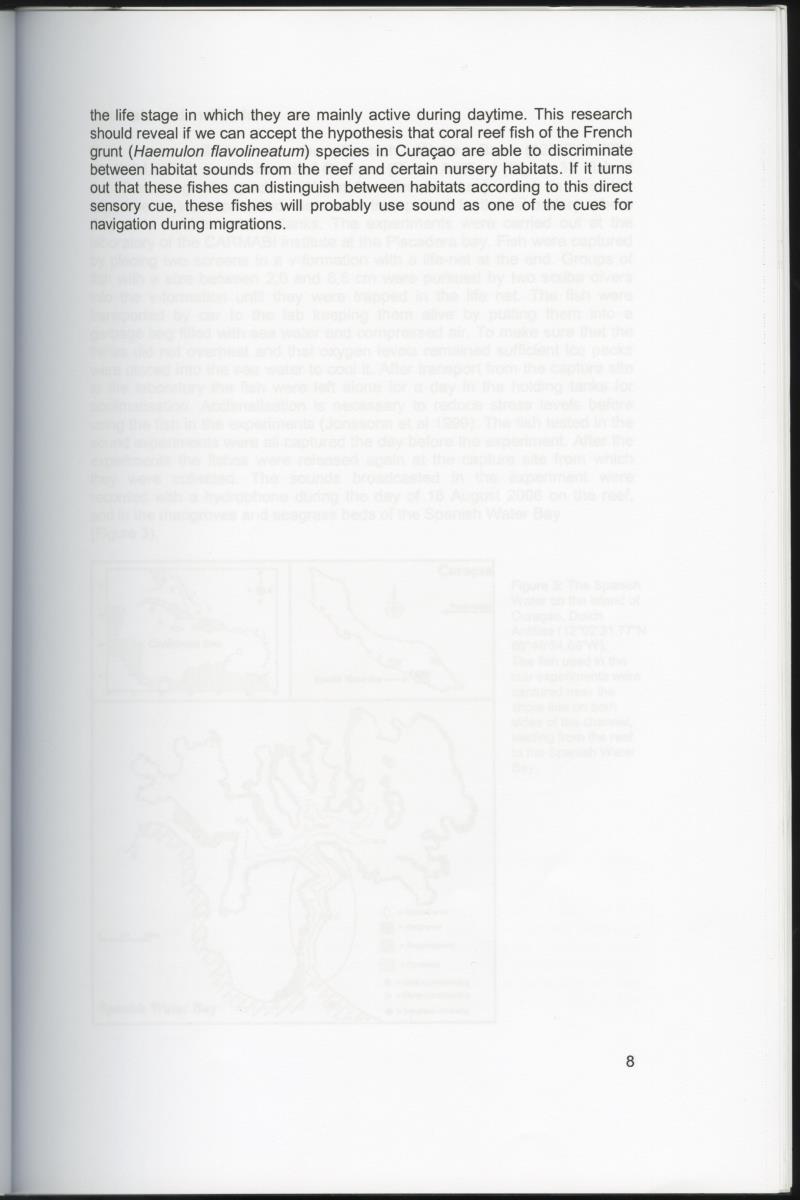 Habitat sound as a cue for migration and settlement of the Caribbean coral reef fish Haemulon flavolineatum in Curacao - New Page