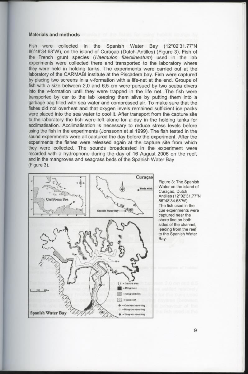 Habitat sound as a cue for migration and settlement of the Caribbean coral reef fish Haemulon flavolineatum in Curacao - New Page