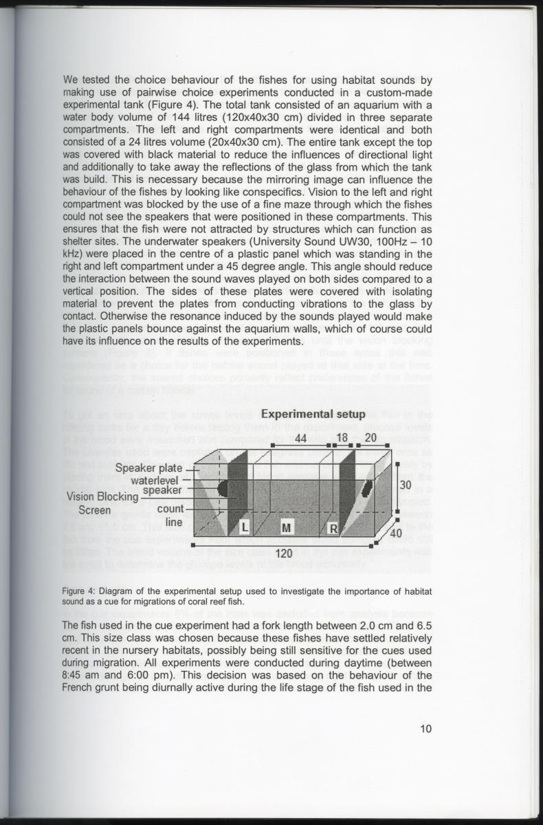 Habitat sound as a cue for migration and settlement of the Caribbean coral reef fish Haemulon flavolineatum in Curacao - New Page