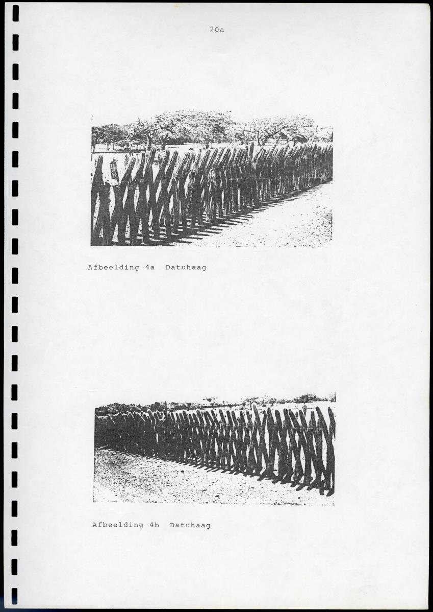 INRICHTINGSPLAN VOOR EEN "HOFFIE" EN "CUNUCU" OP DE PLANTAGE SAVONET OP CURACAO - New Page