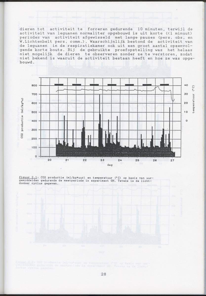 Validatie van de dubbel gelabeld water methode voor de groene leguaan (Iguana iguana) - New Page