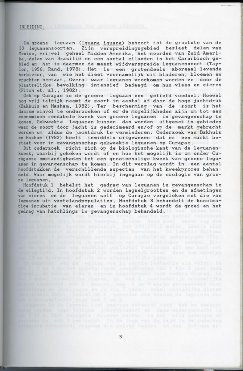KWEEKEXPERIMENTEN MET DE GROENE LEGUAAN (IGUANA IGUANA) OP CURACAO - New Page